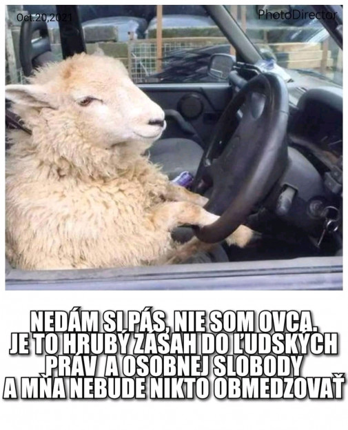 Bezpečnostný pás