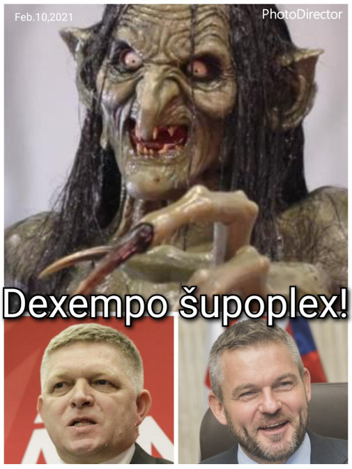 Dexempo Ficoplex